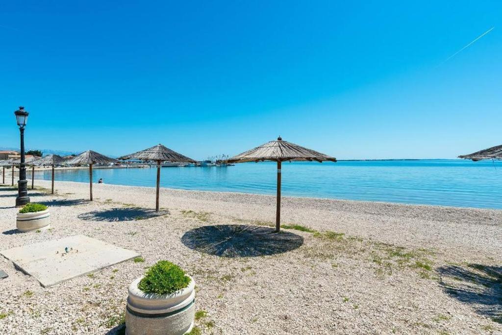 Apartment Martina Vir Dış mekan fotoğraf